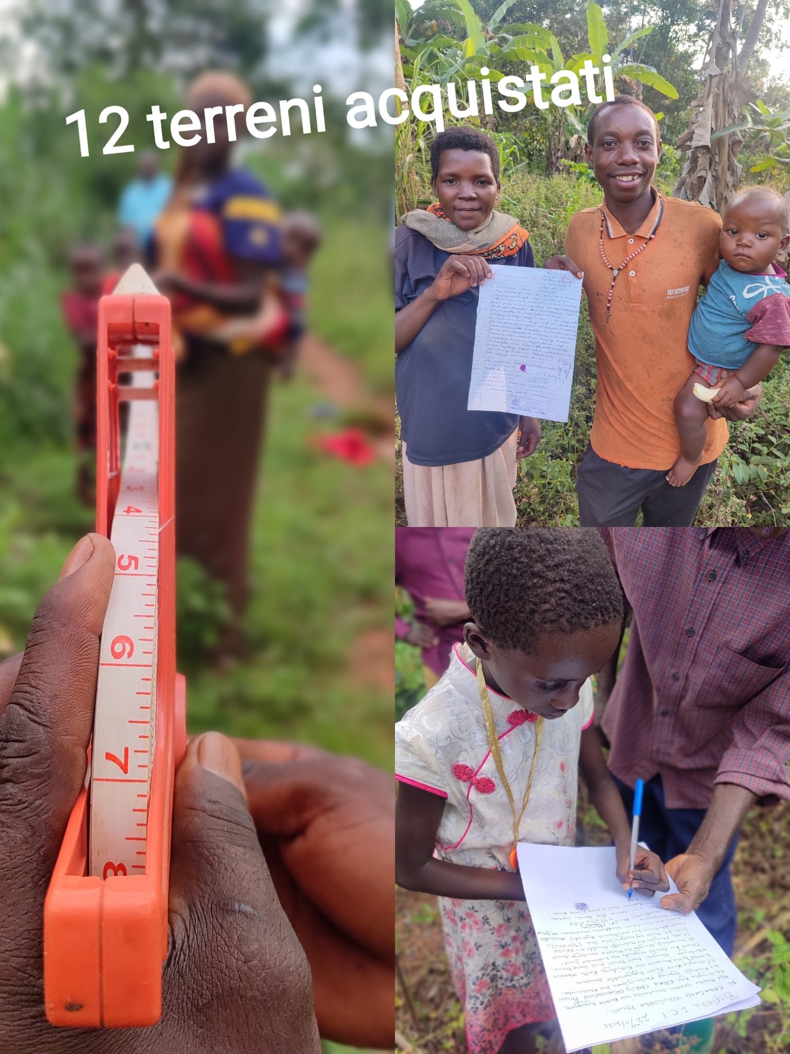 12 terreni acquistati