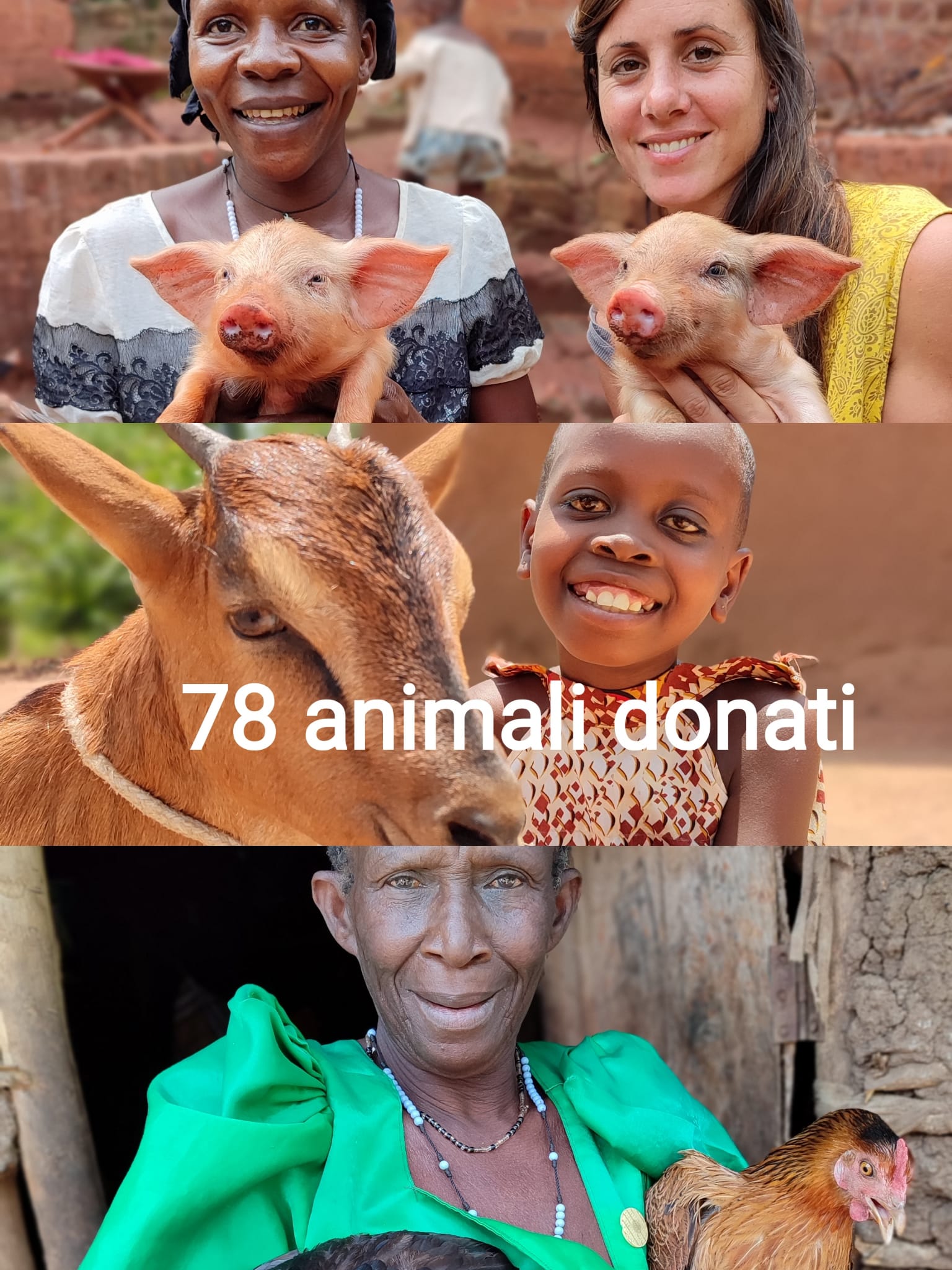 78 animali donati